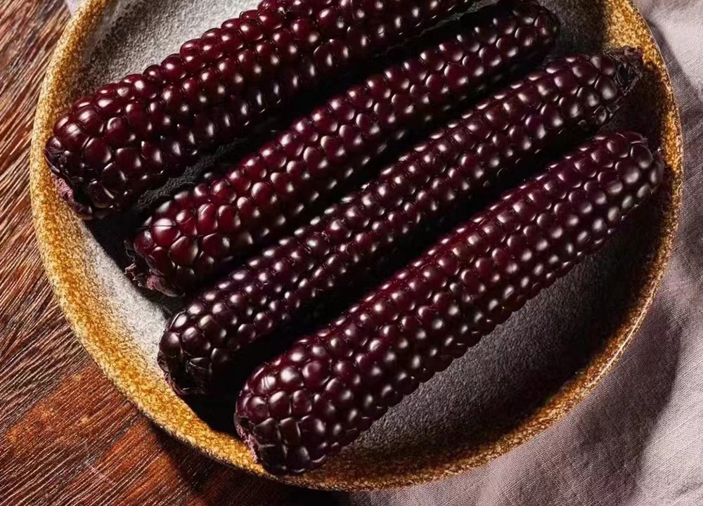 Ngô Nếp Nhật Bản Kamenozoki