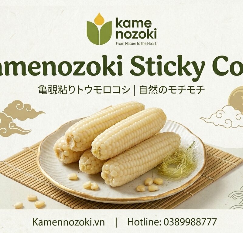 Ngô Nếp: Từ "Ngọc Thực" Dân Dã Đến Siêu Thực Phẩm Mochi Trứ Danh Nhật Bản