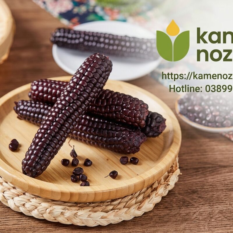 Ngô Nếp Nhật Bản Kamenozoki